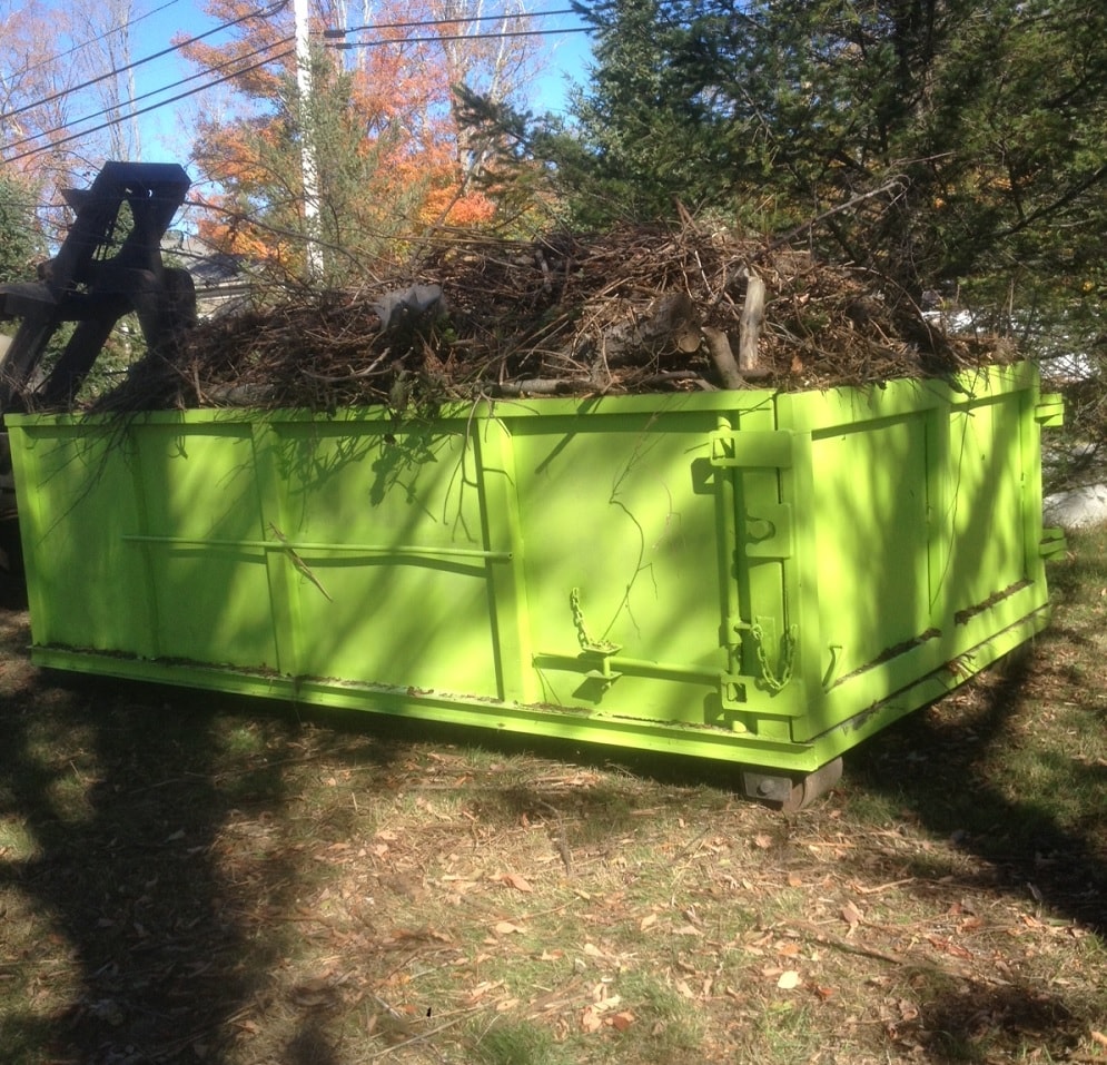 Tree Removal Dumpster Services-Longmont’s Full Service Dumpster Rentals & Roll Off Professionals